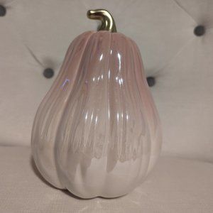 Ceramic Shabby Chic Pink White Ombre Pumpkin Gourd New Home Decor